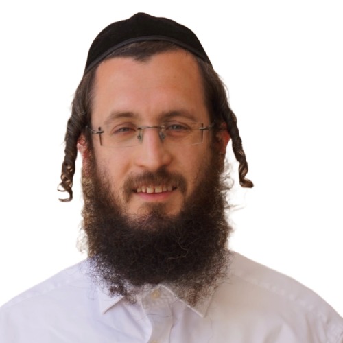 לוגו נחמיה