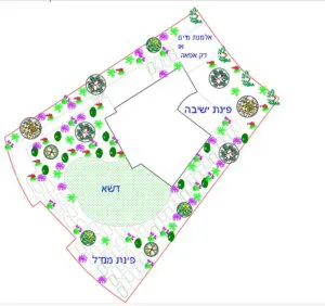 דרור - תמונה 5