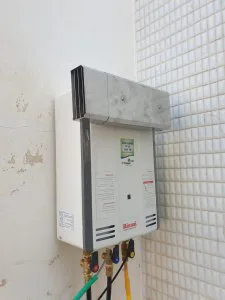 ארז - תמונה 2