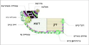 דרור - תמונה 4