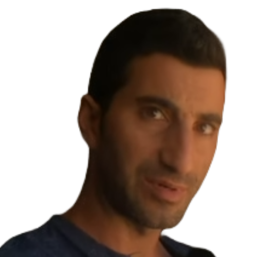 לוגו ניר ושגיא