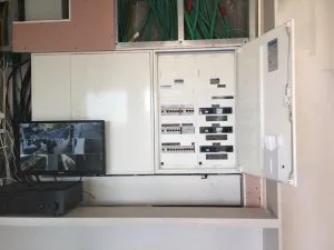 רוני - תמונה 3
