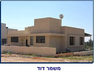 גיל - תמונה 3