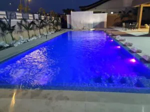 צחי - תמונה 2