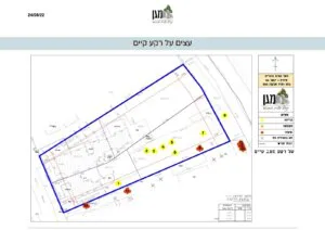 מגן - תמונה 5