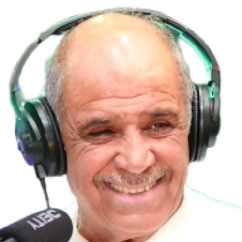 לוגו שמעון