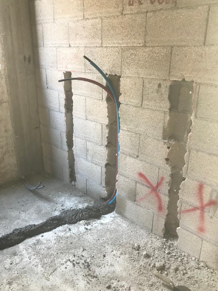 רון - תמונה 2