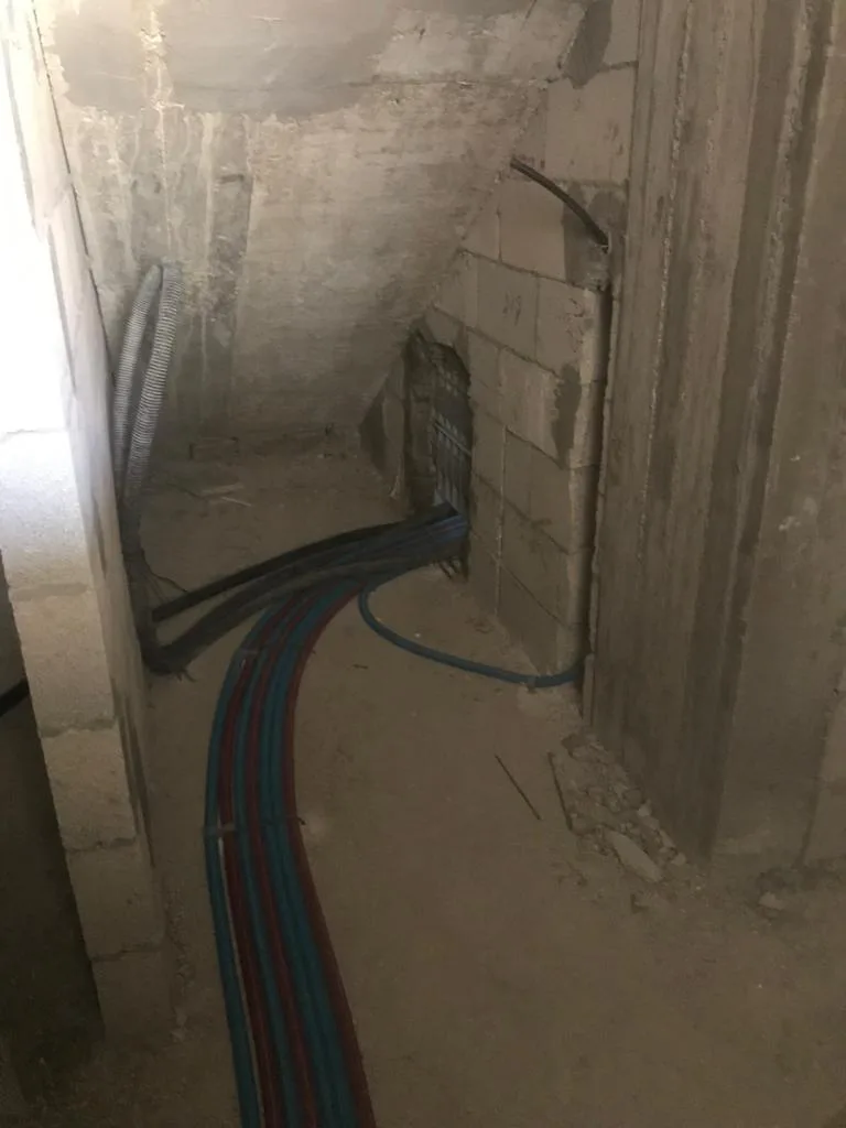 רון - תמונה 4