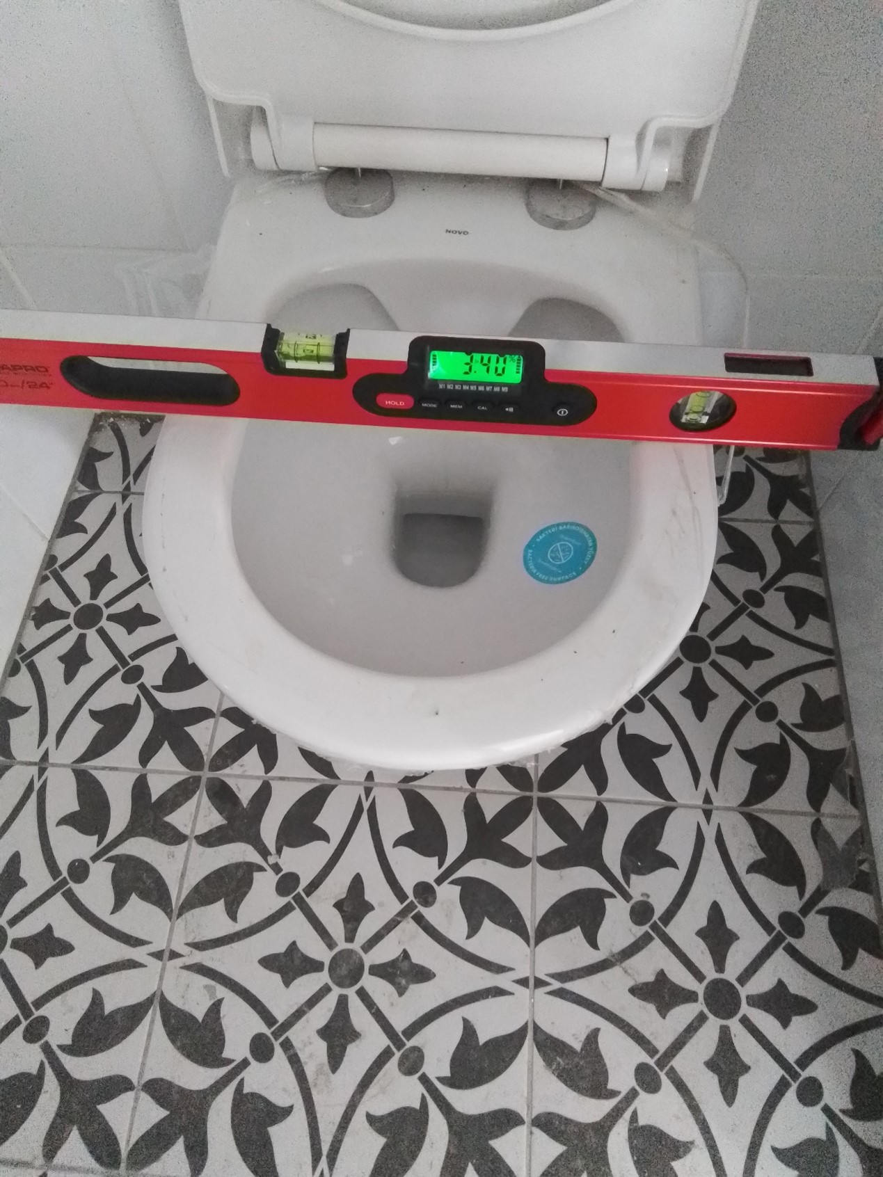שחר - תמונה 4